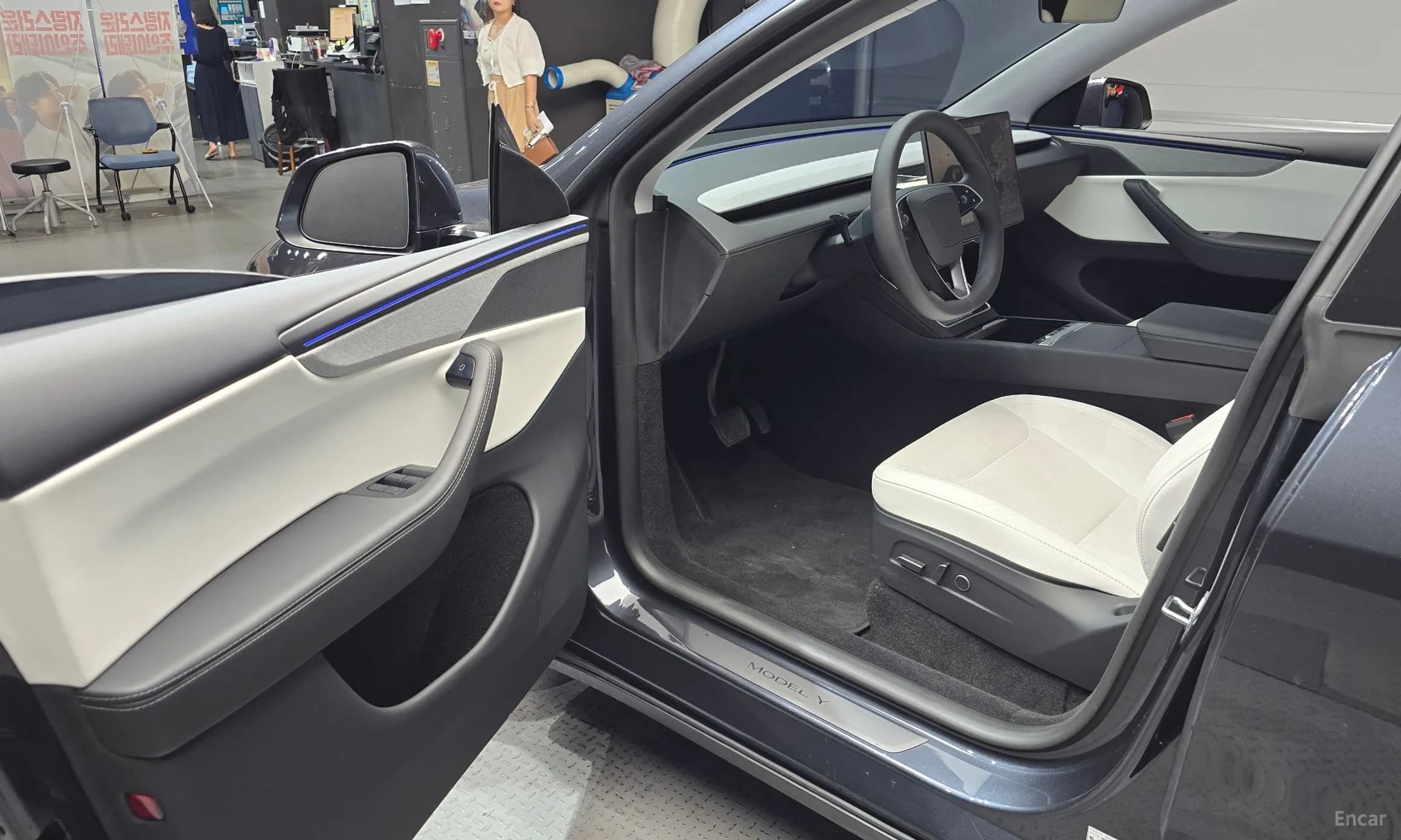 Model Y