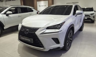 NX300h