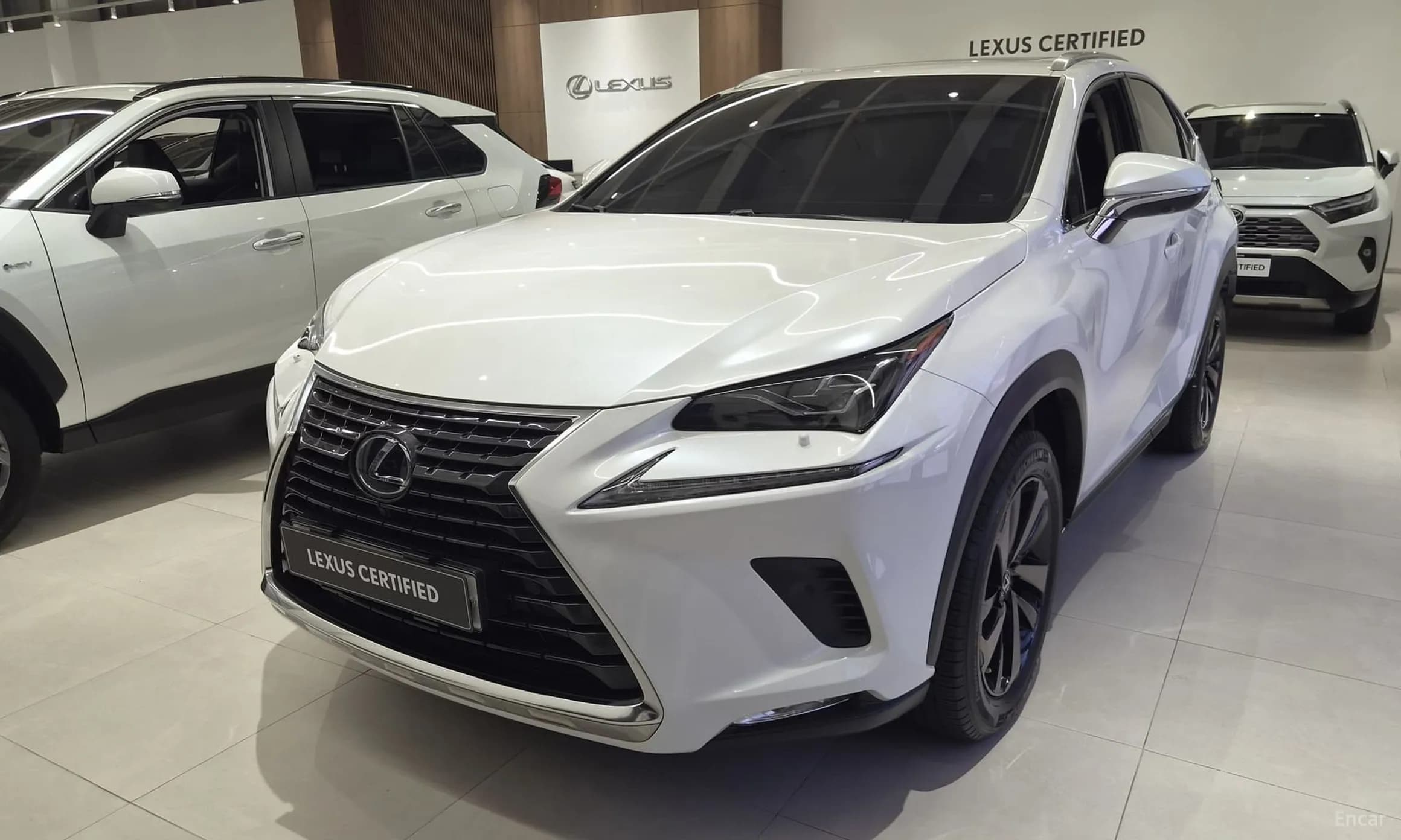 NX300h