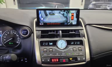 NX300h