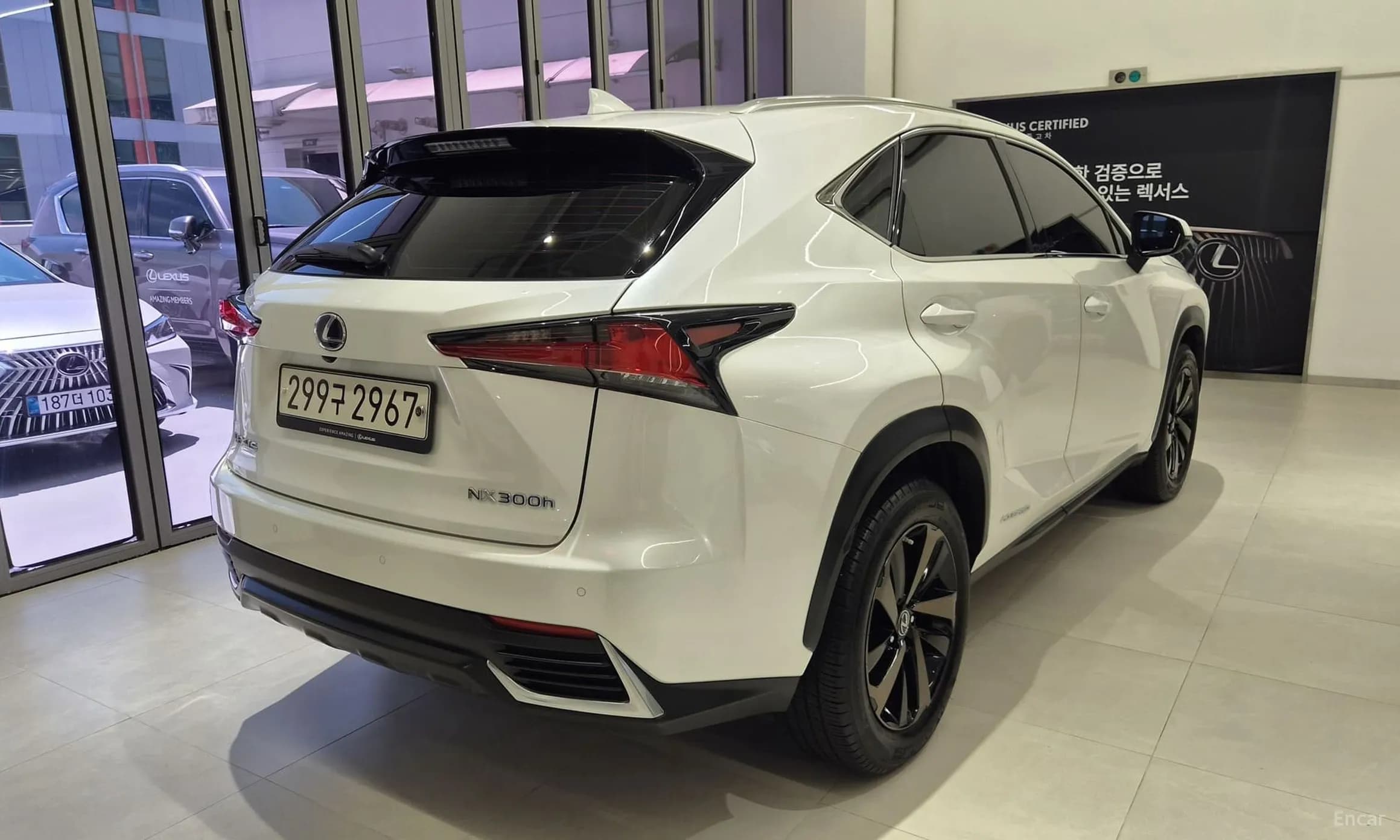 NX300h