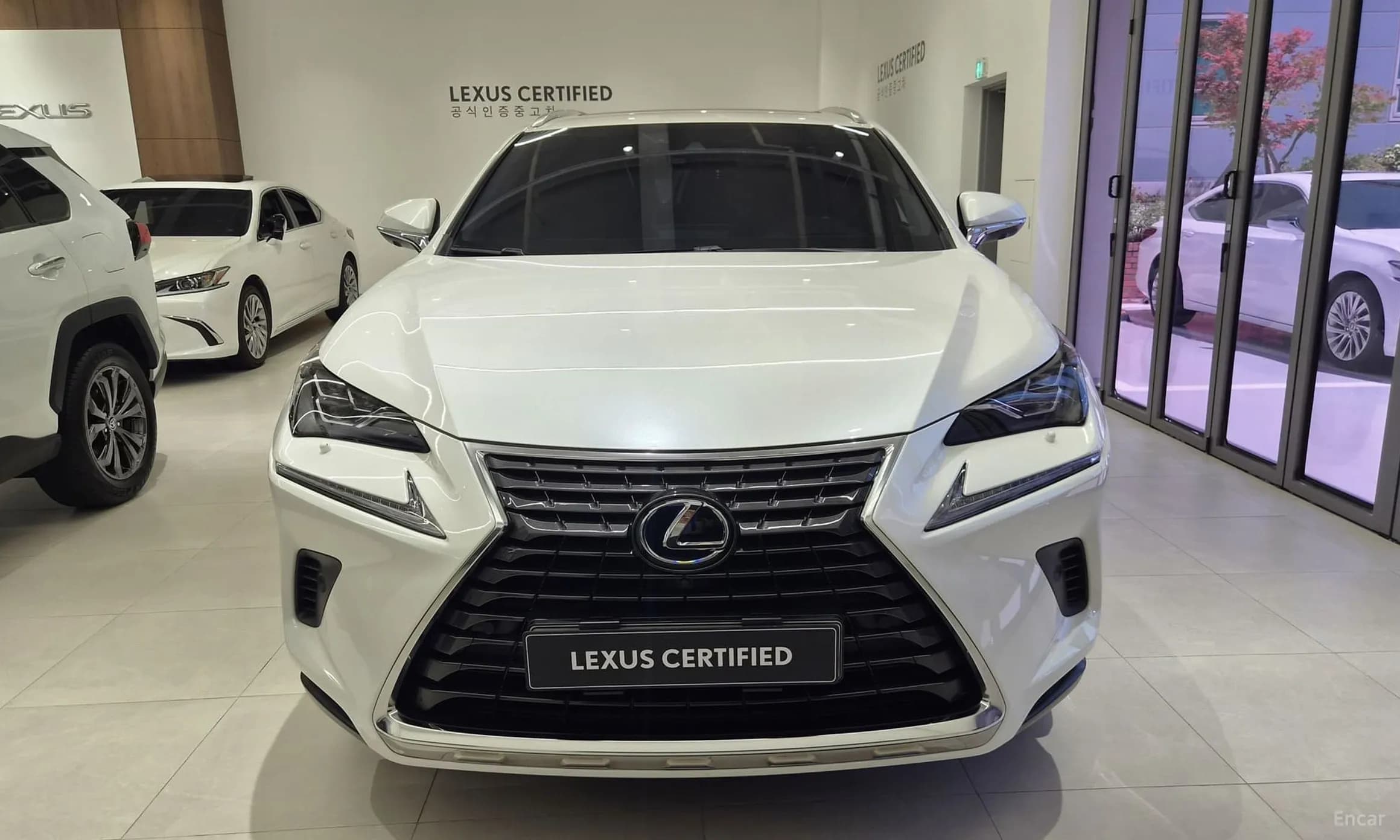 NX300h