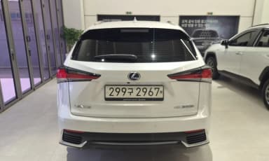 NX300h