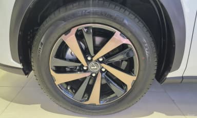 NX300h
