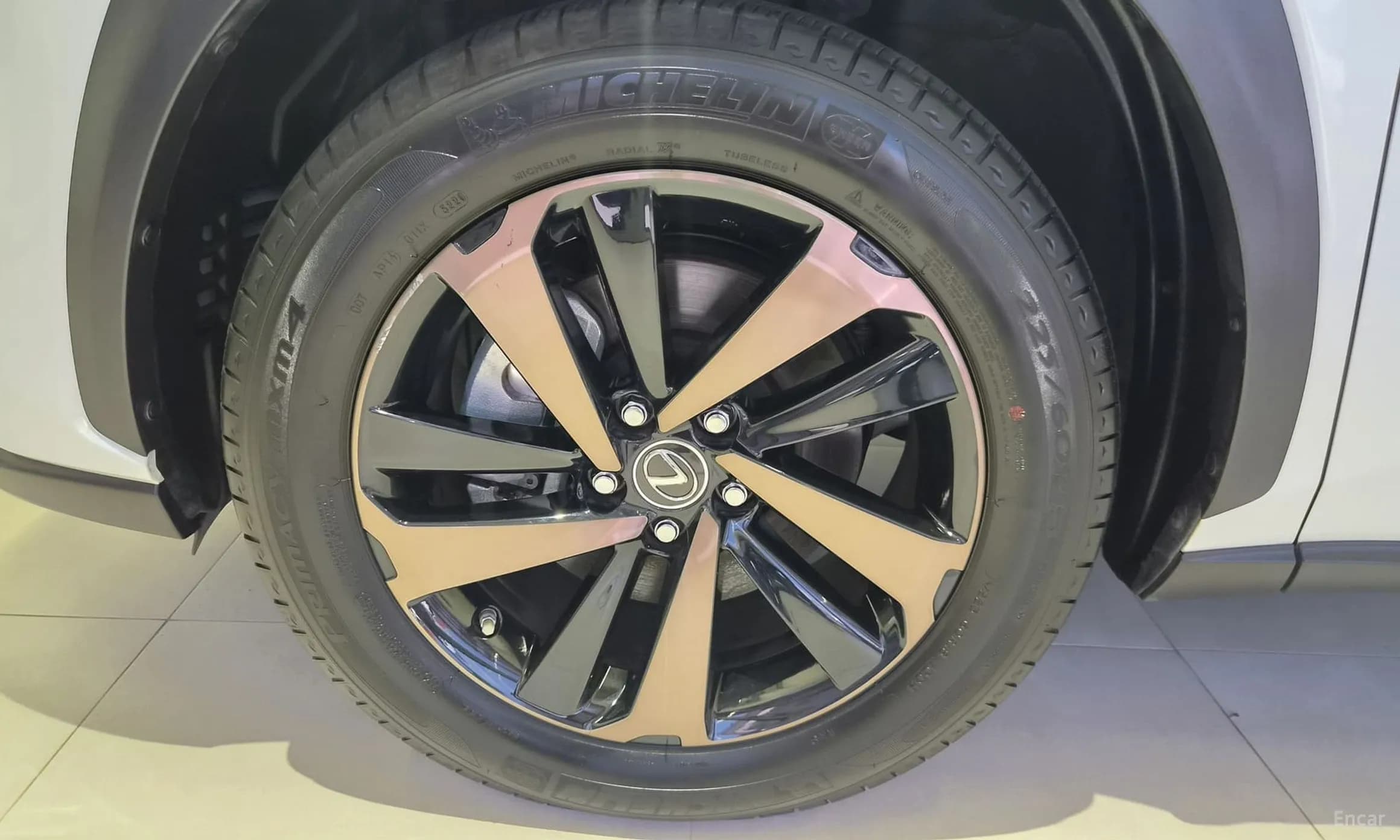 NX300h