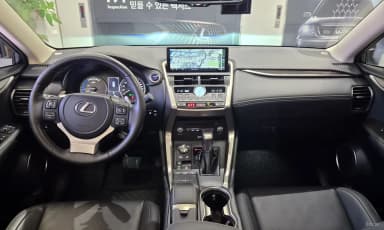 NX300h