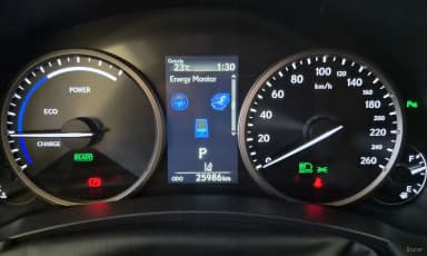 NX300h