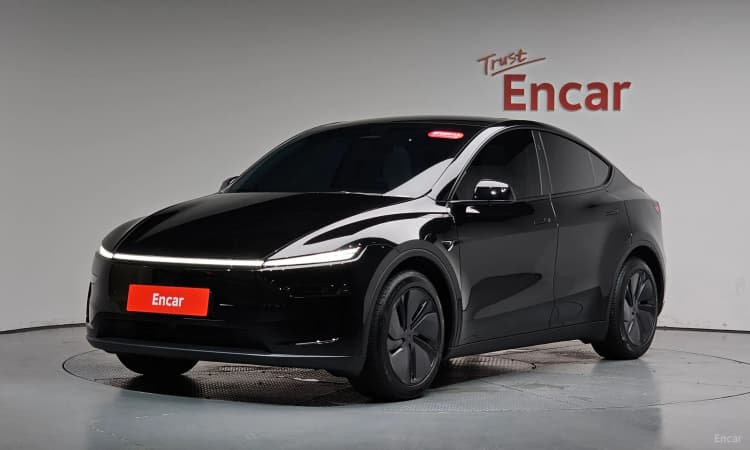 Model Y