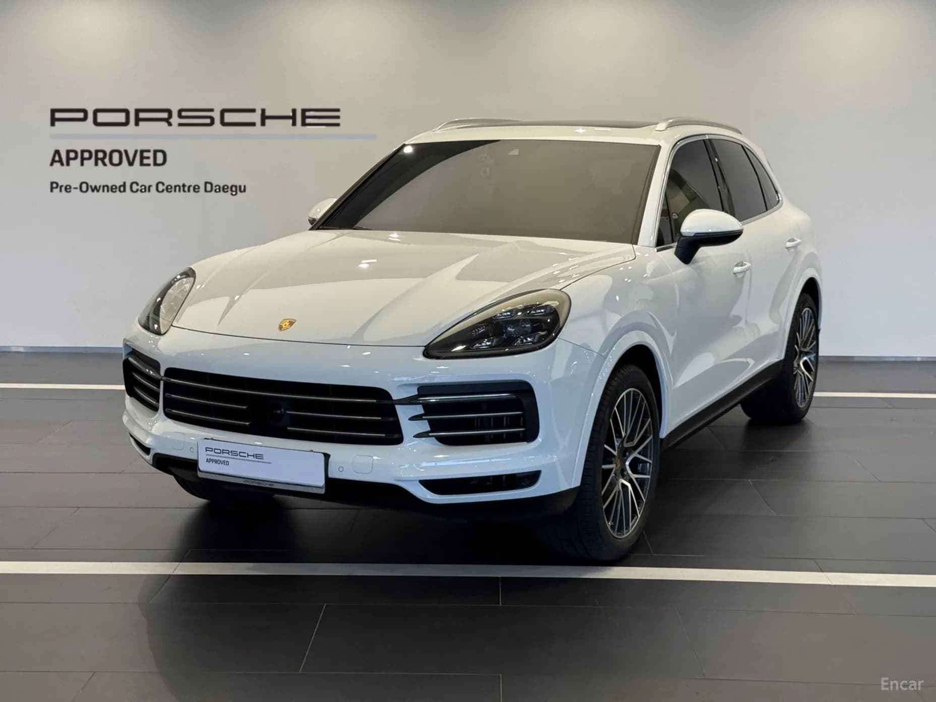 Cayenne (PO536)