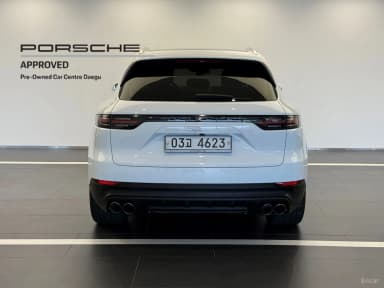 Cayenne (PO536)