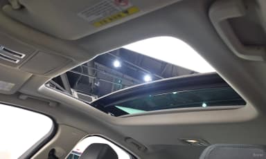 XF (x260)