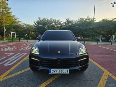 Cayenne (PO536)