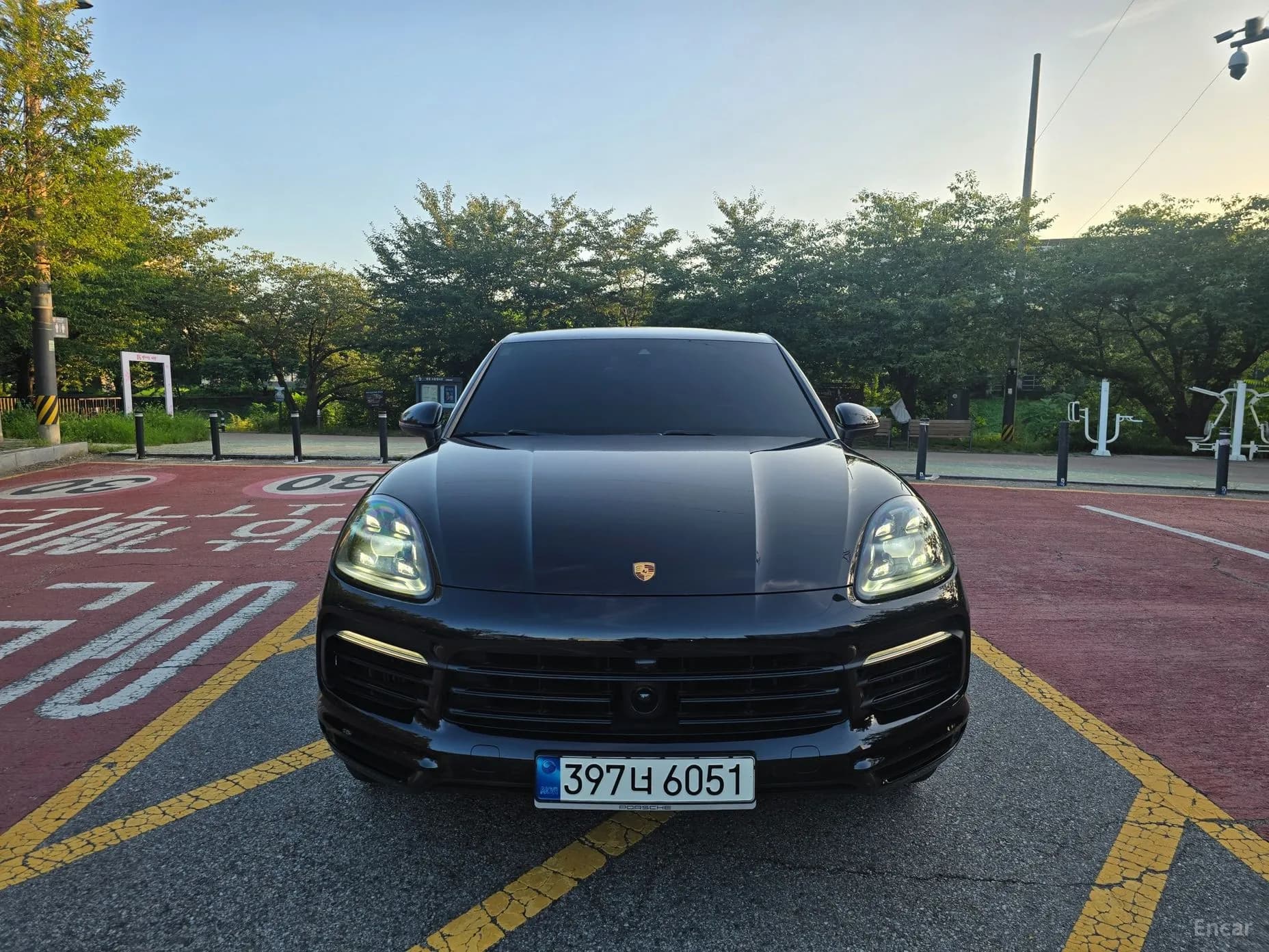 Cayenne (PO536)