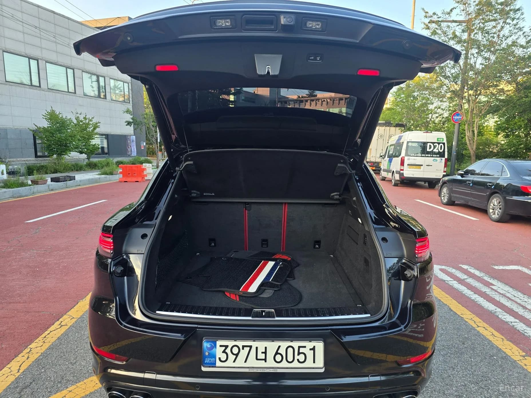 Cayenne (PO536)