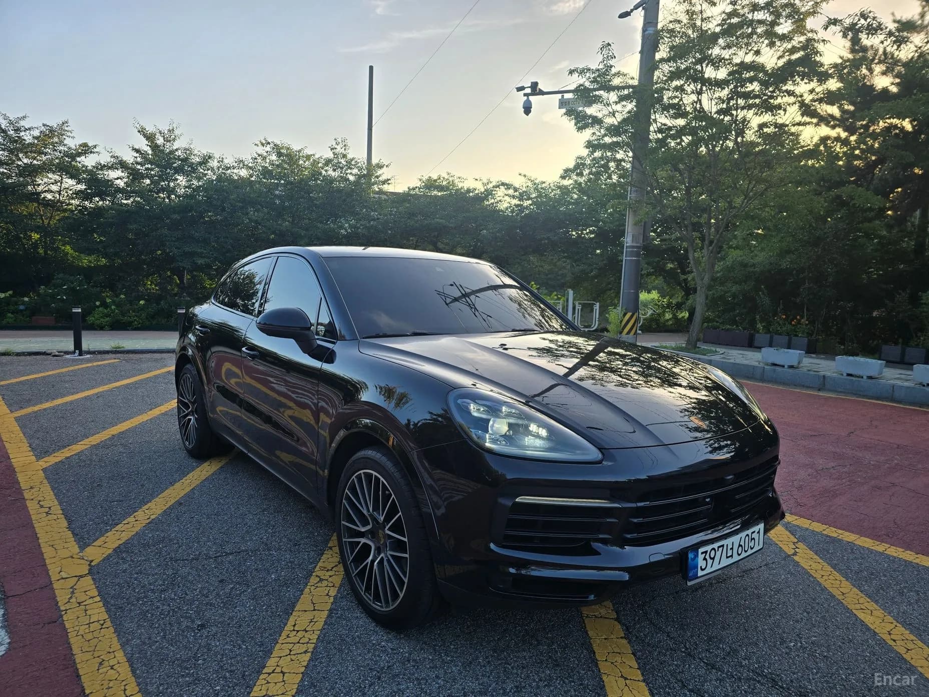Cayenne (PO536)