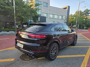 Cayenne (PO536)
