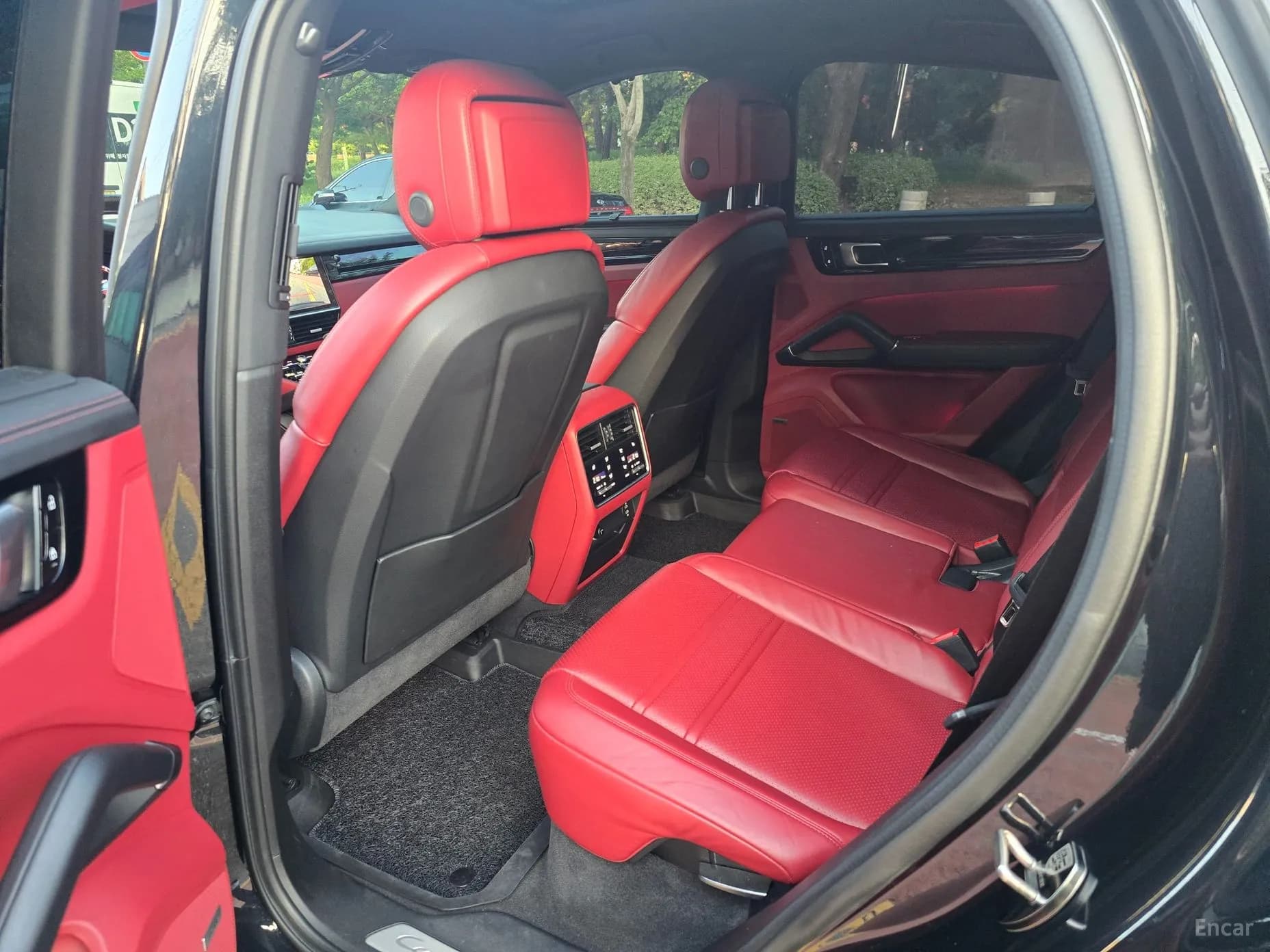 Cayenne (PO536)