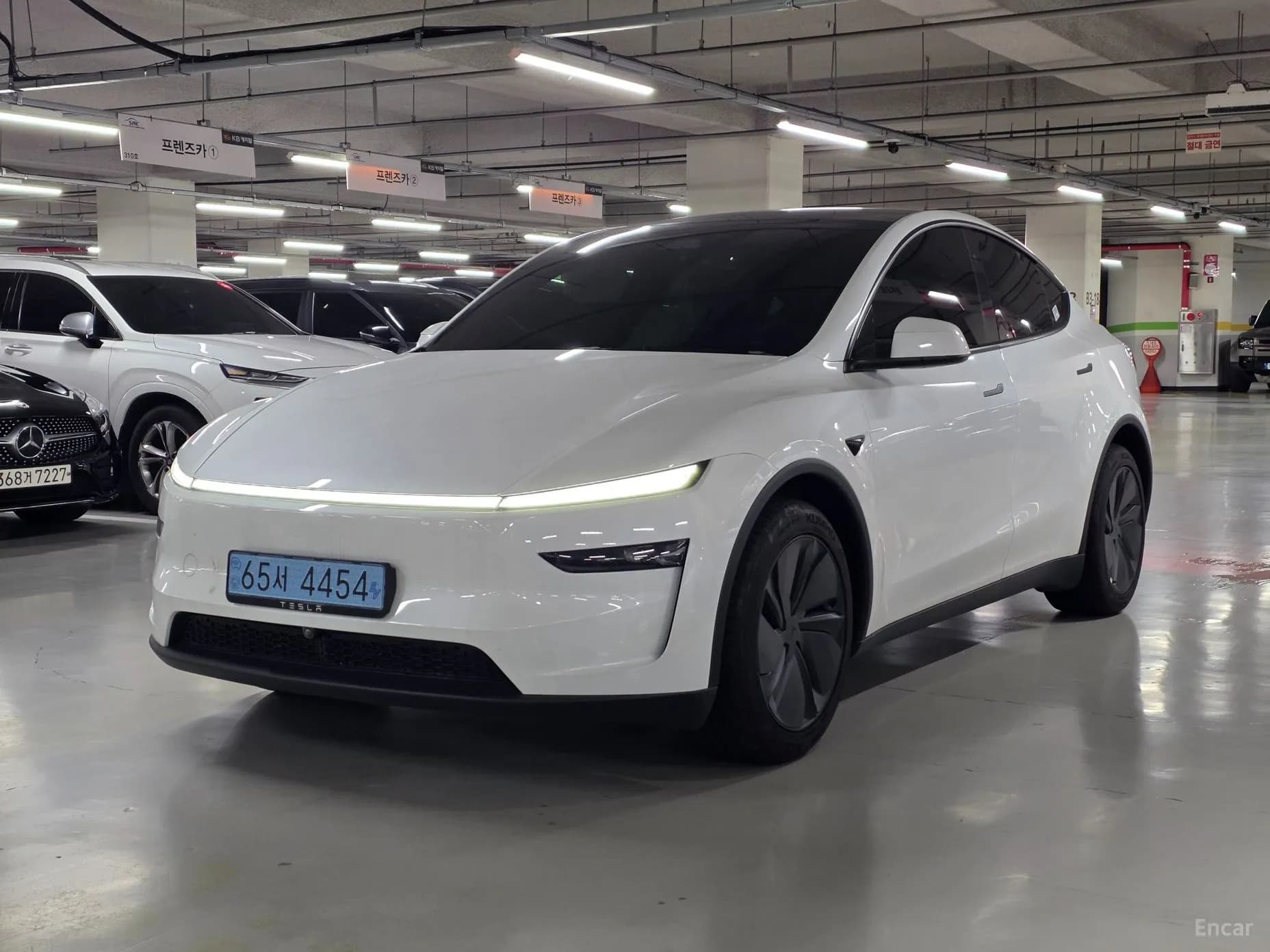 Model Y