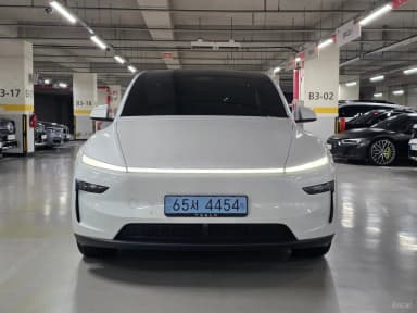 Model Y