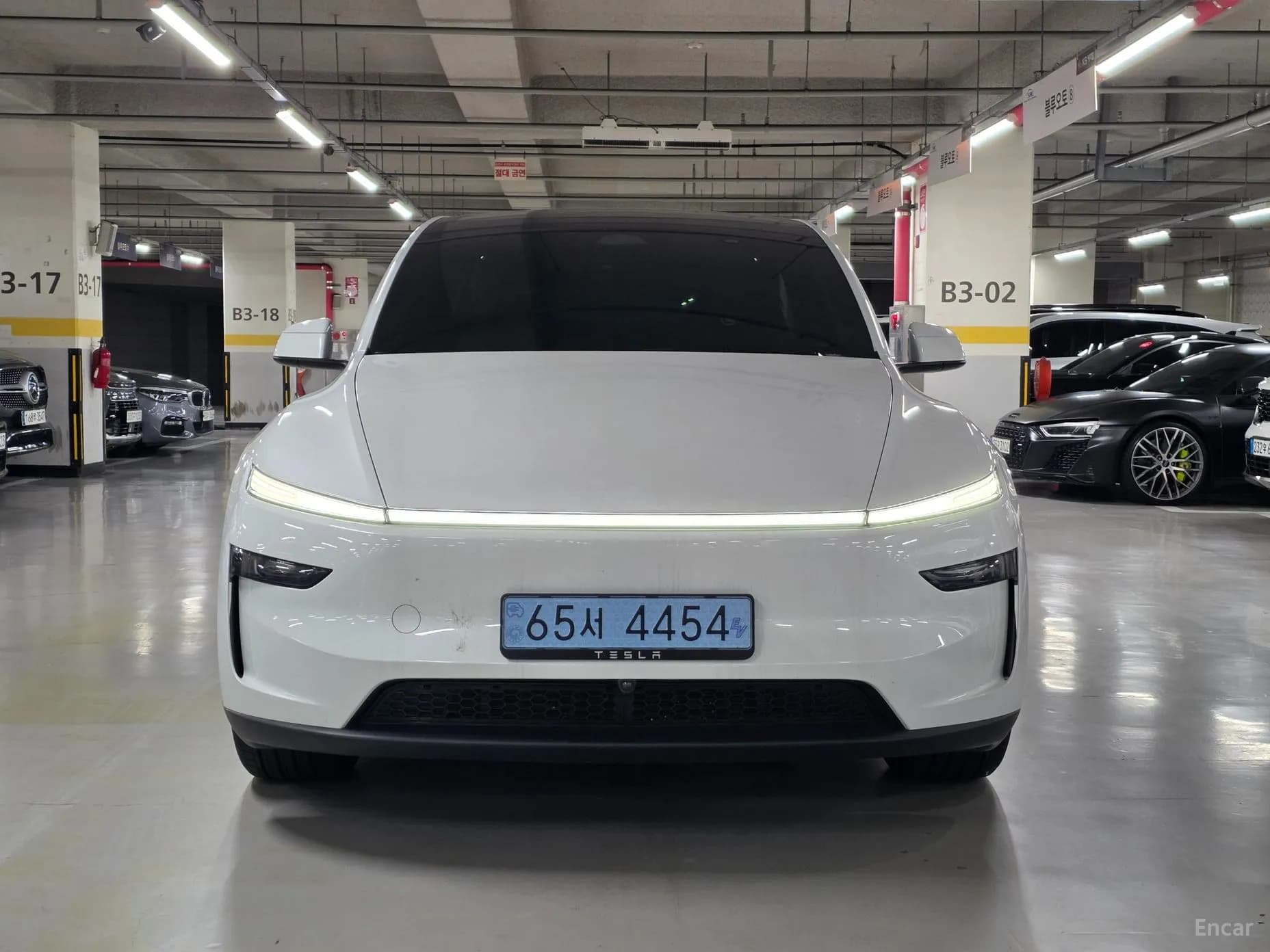 Model Y