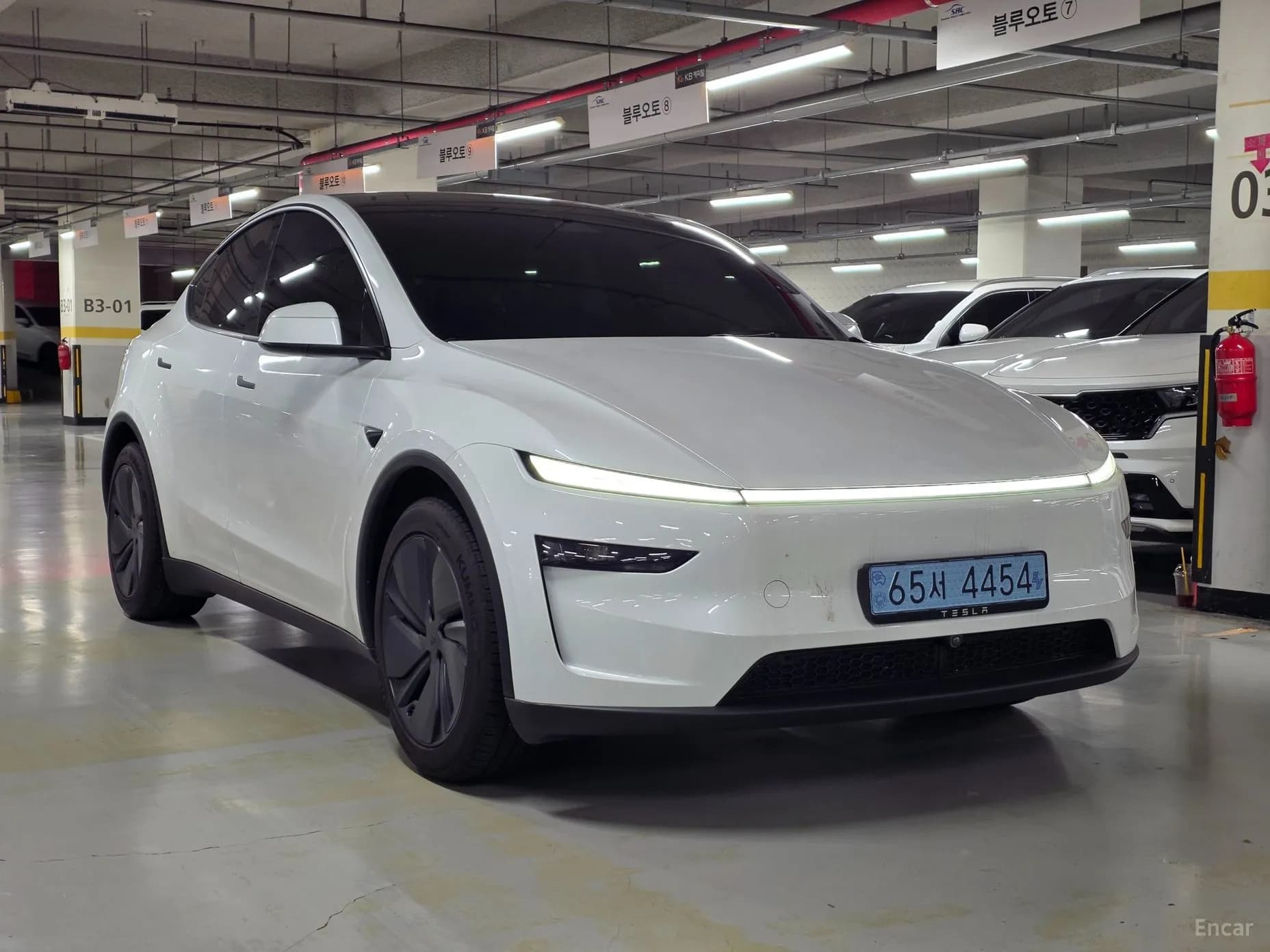 Model Y