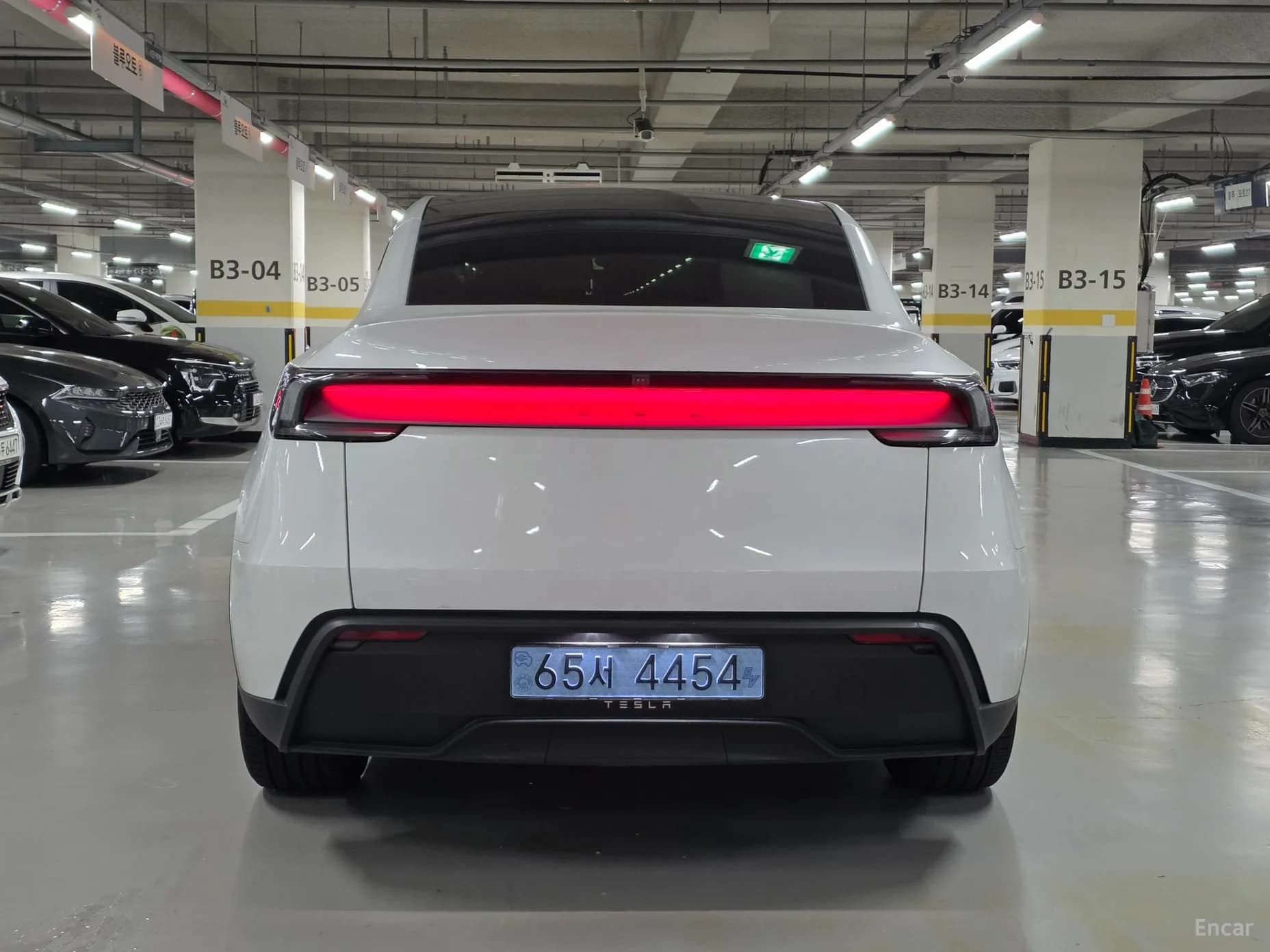 Model Y