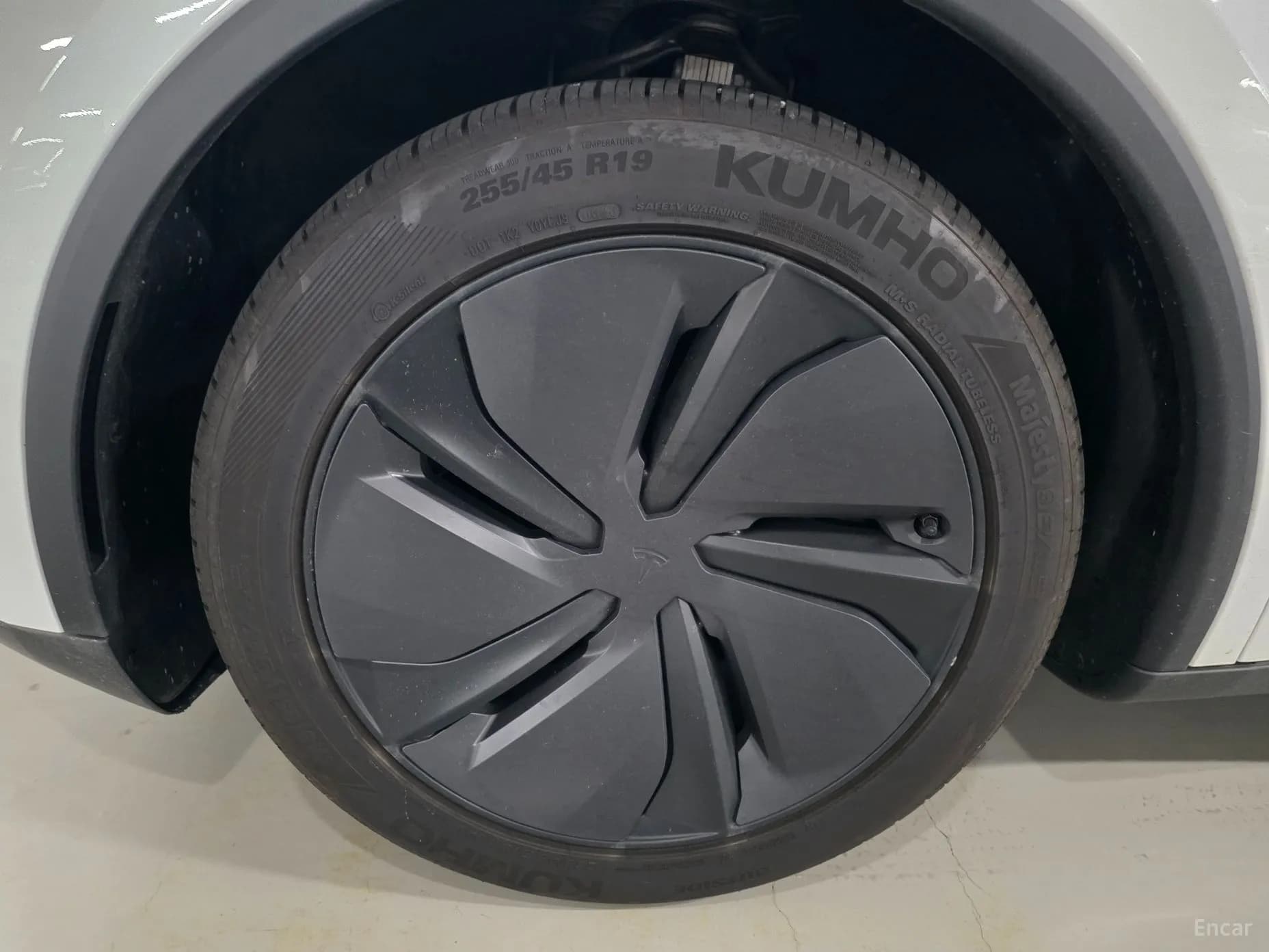 Model Y