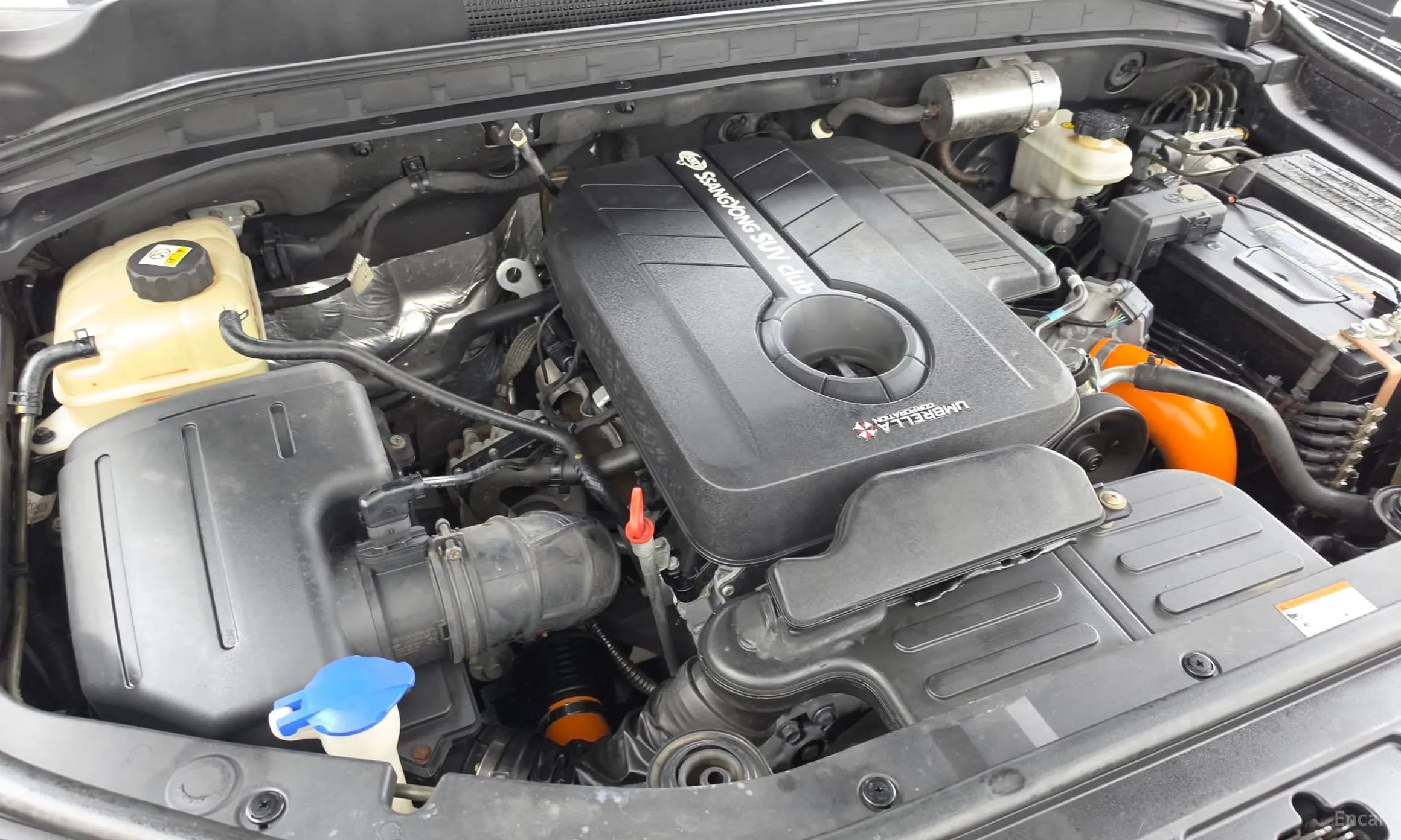 G4 Rexton