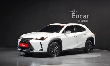 UX250h
