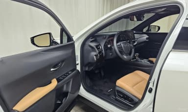 UX250h