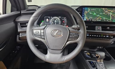 UX250h