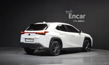 UX250h