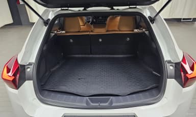 UX250h