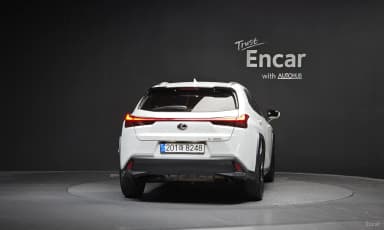 UX250h