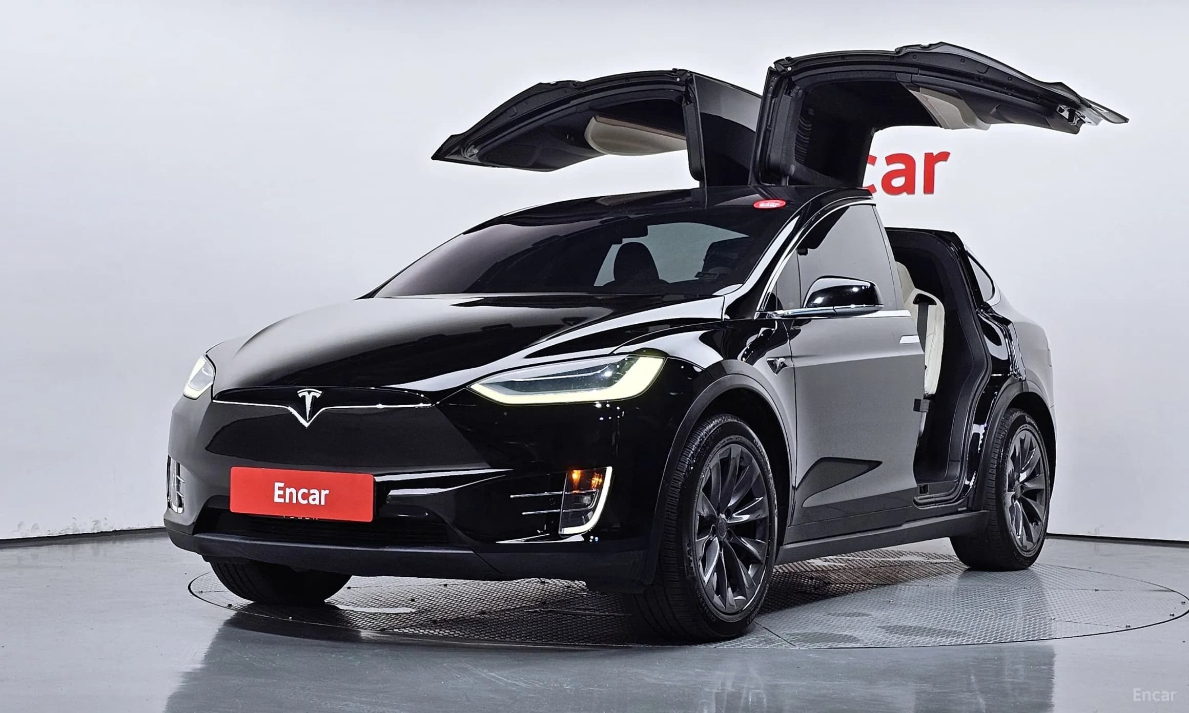 Model X