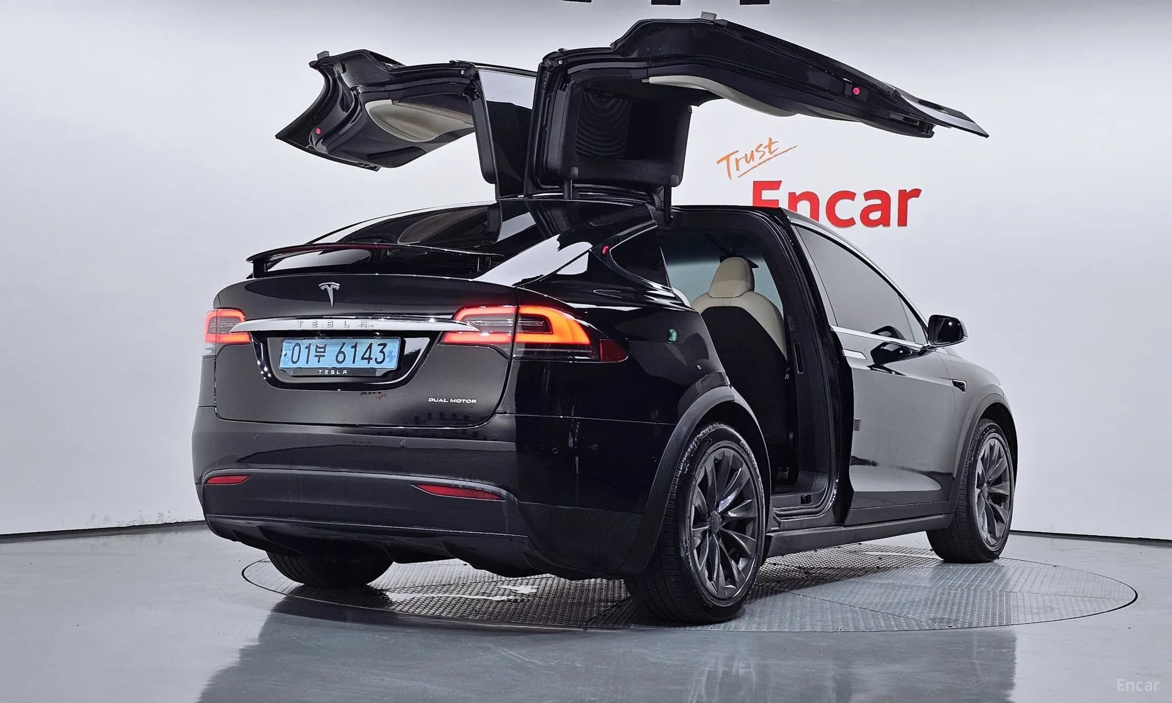 Model X