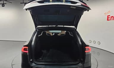 Model X