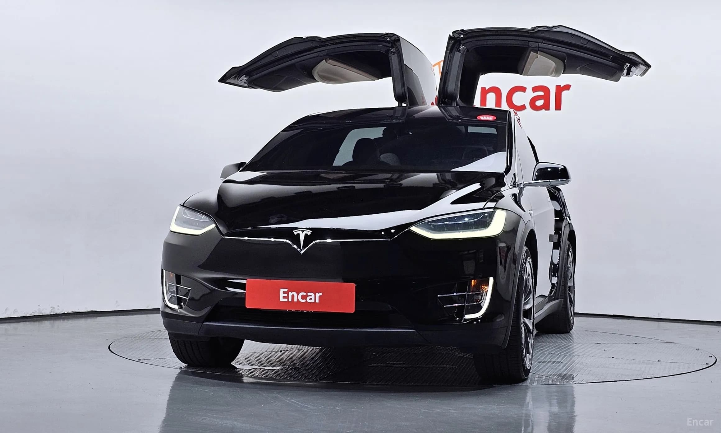 Model X