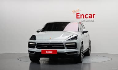 Cayenne (PO536)