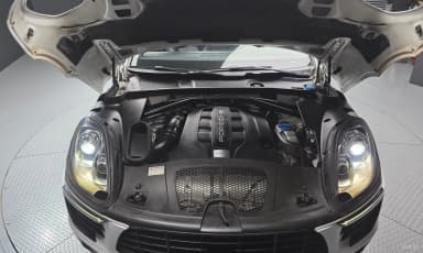 Macan