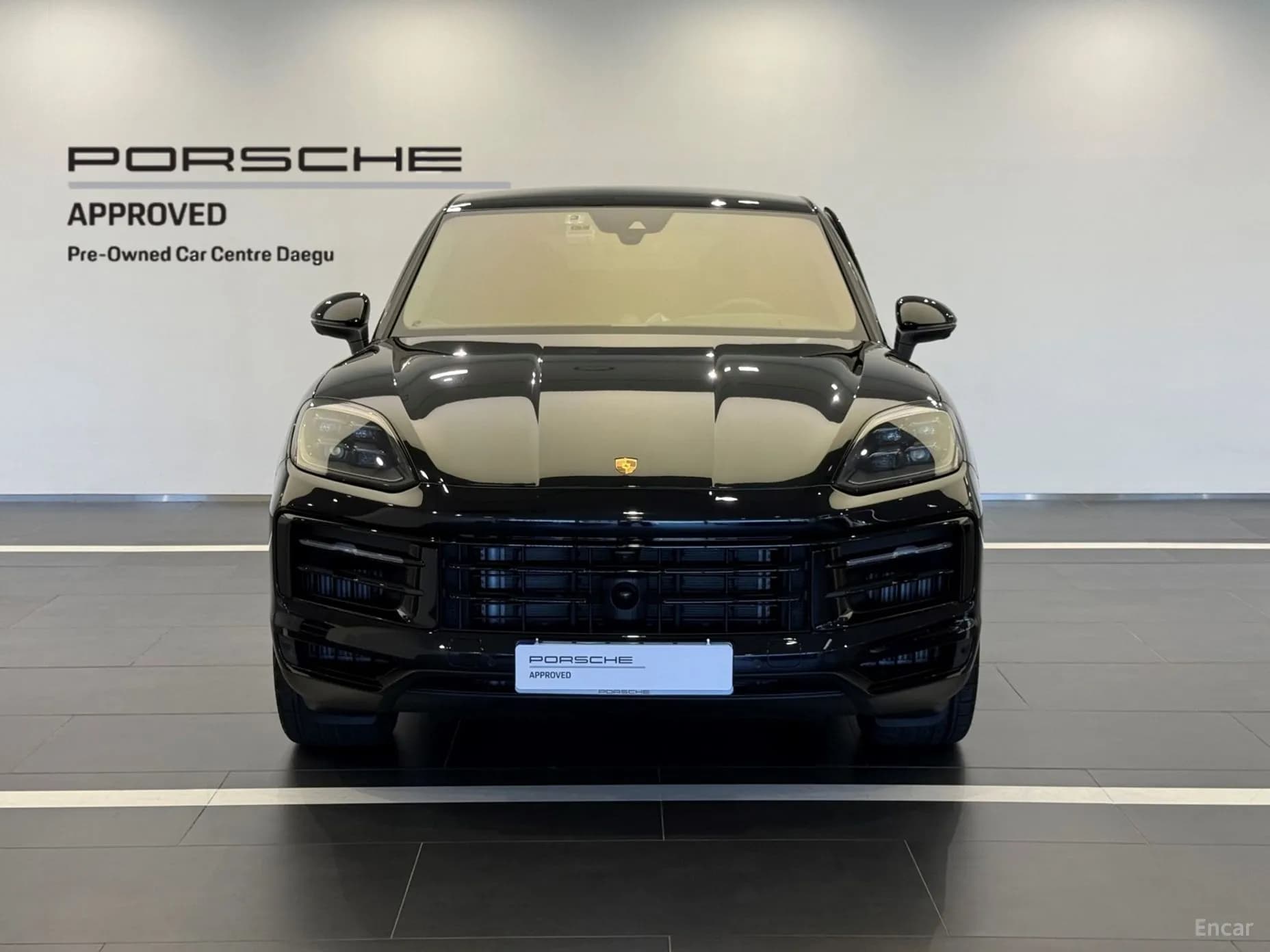Cayenne (PO536)