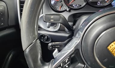 New Cayenne