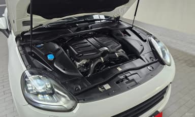 New Cayenne