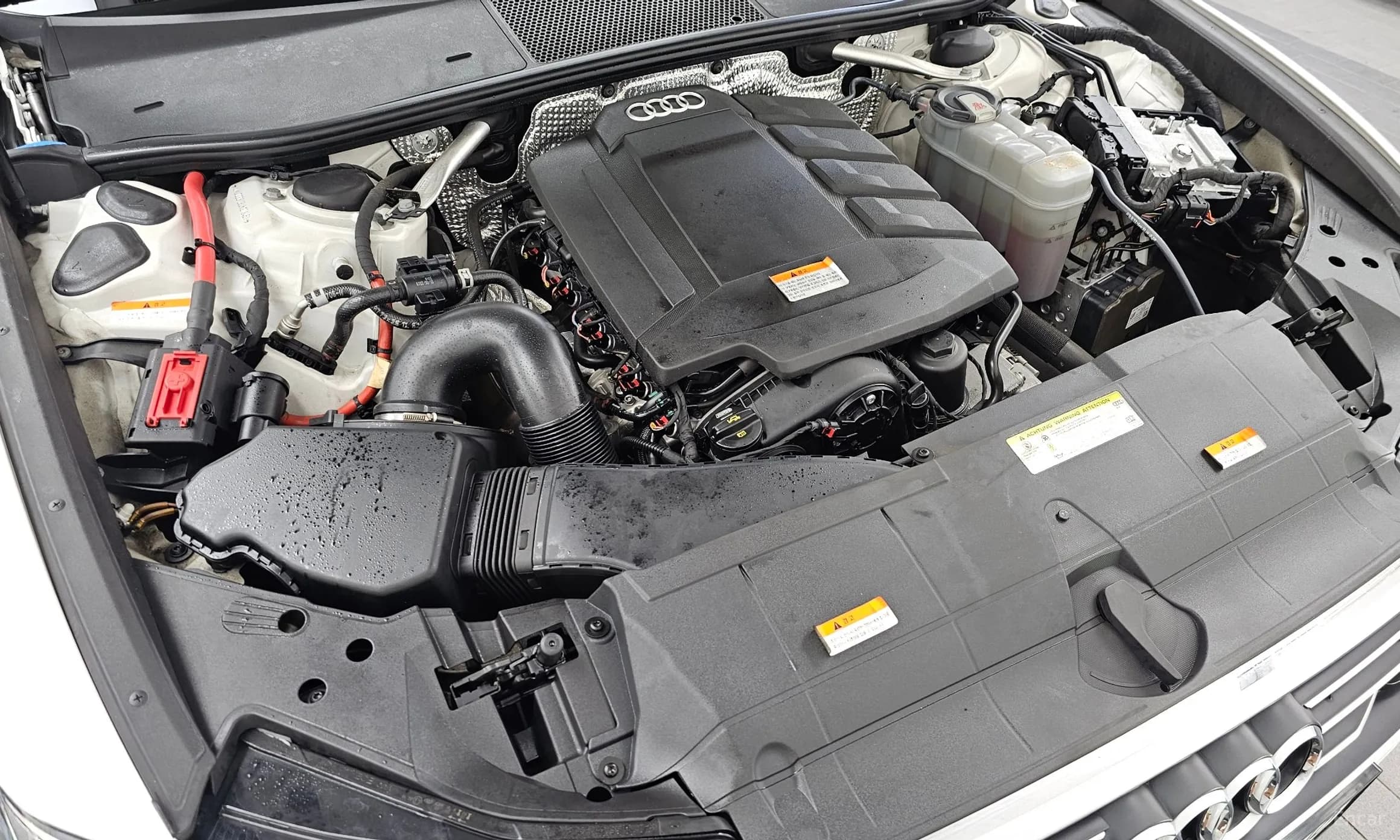 A6 (C8)