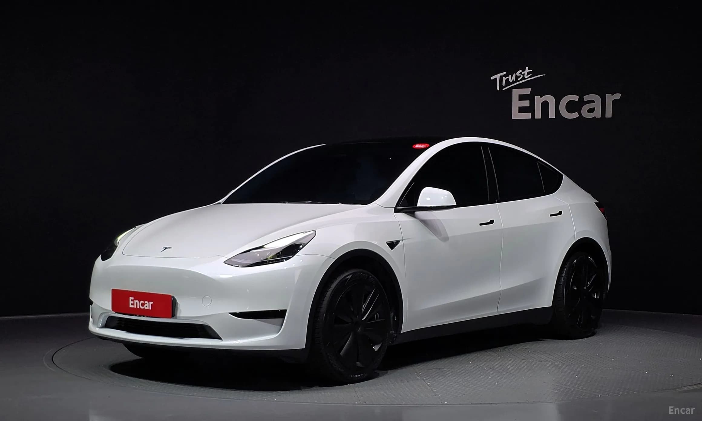 Model Y