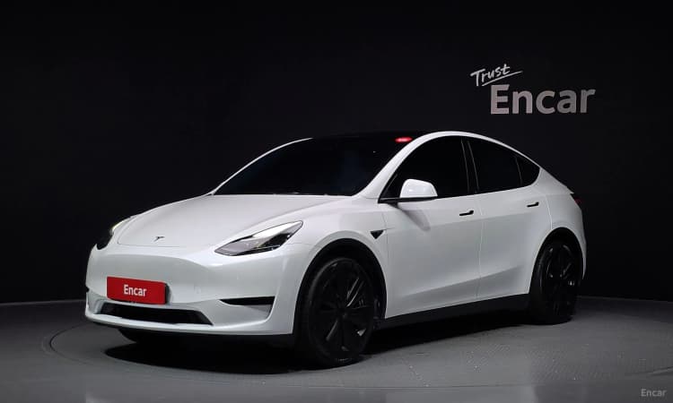 Model Y