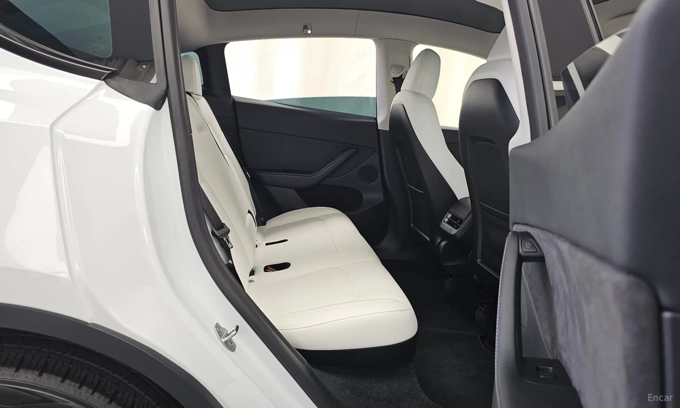 Model Y