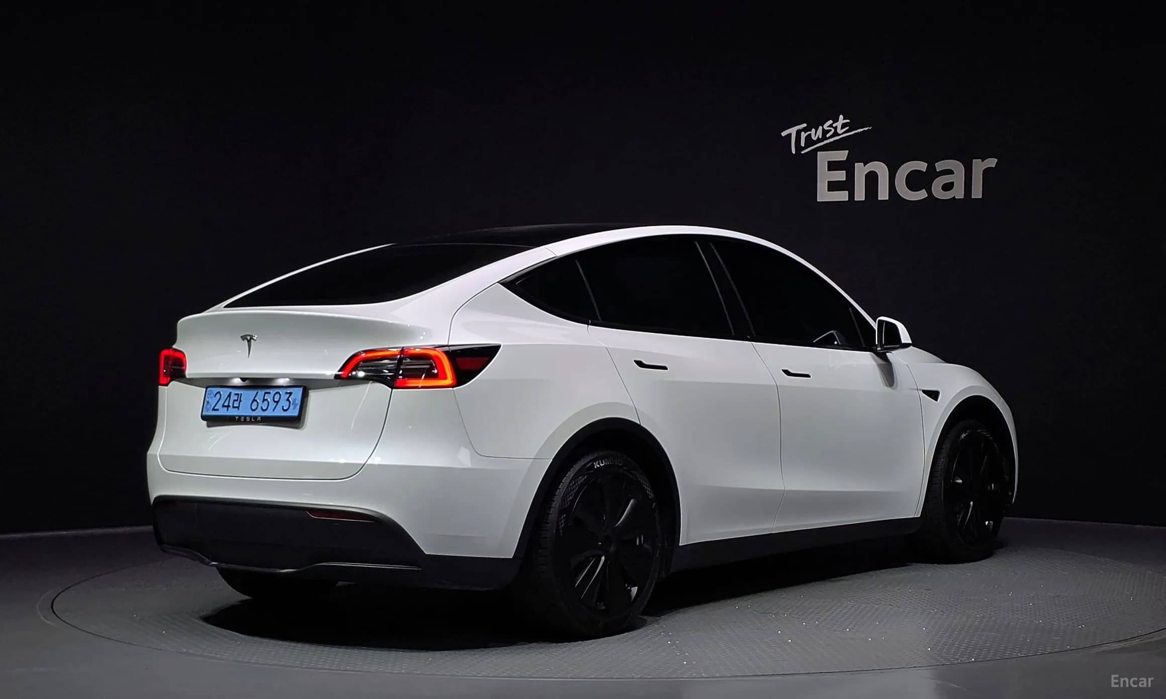 Model Y