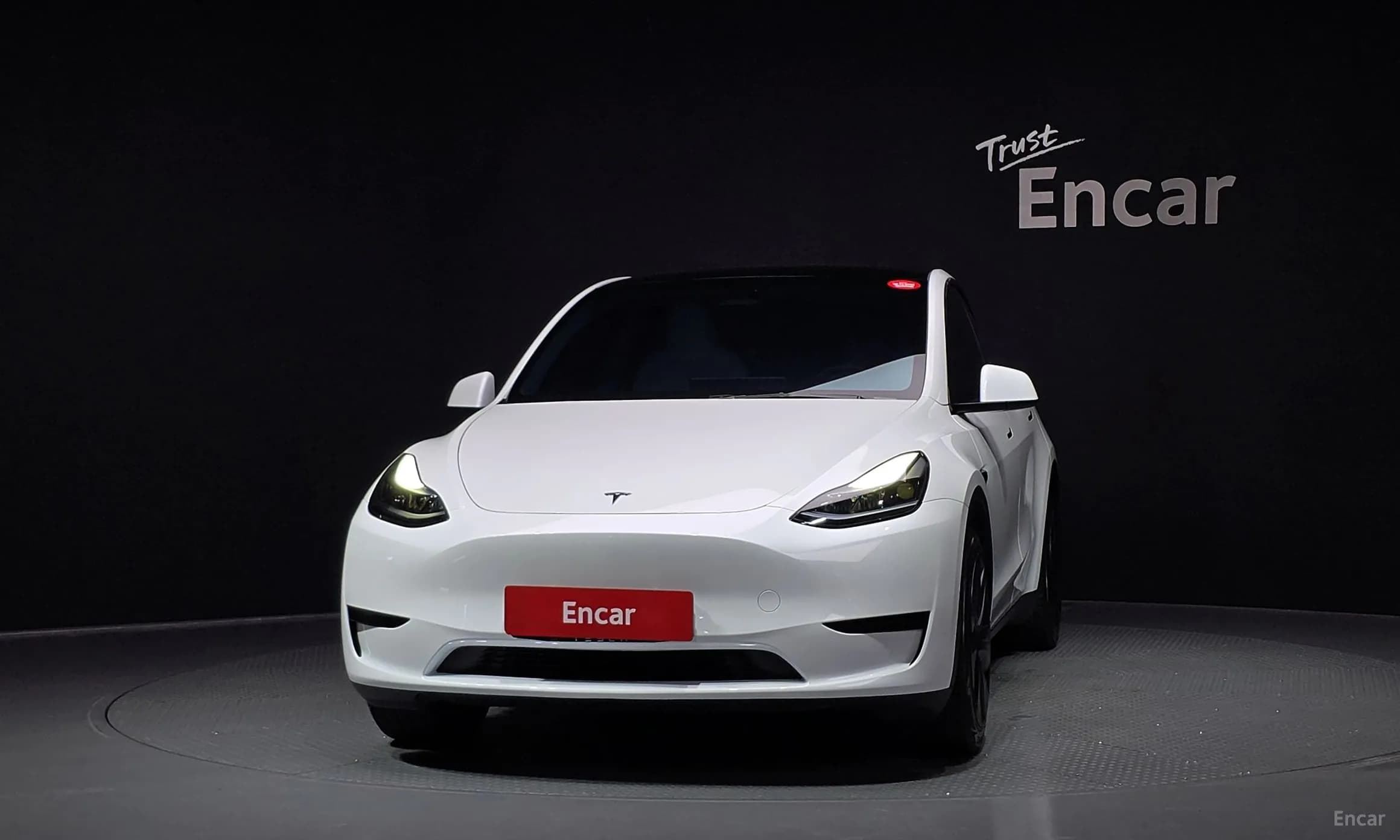 Model Y