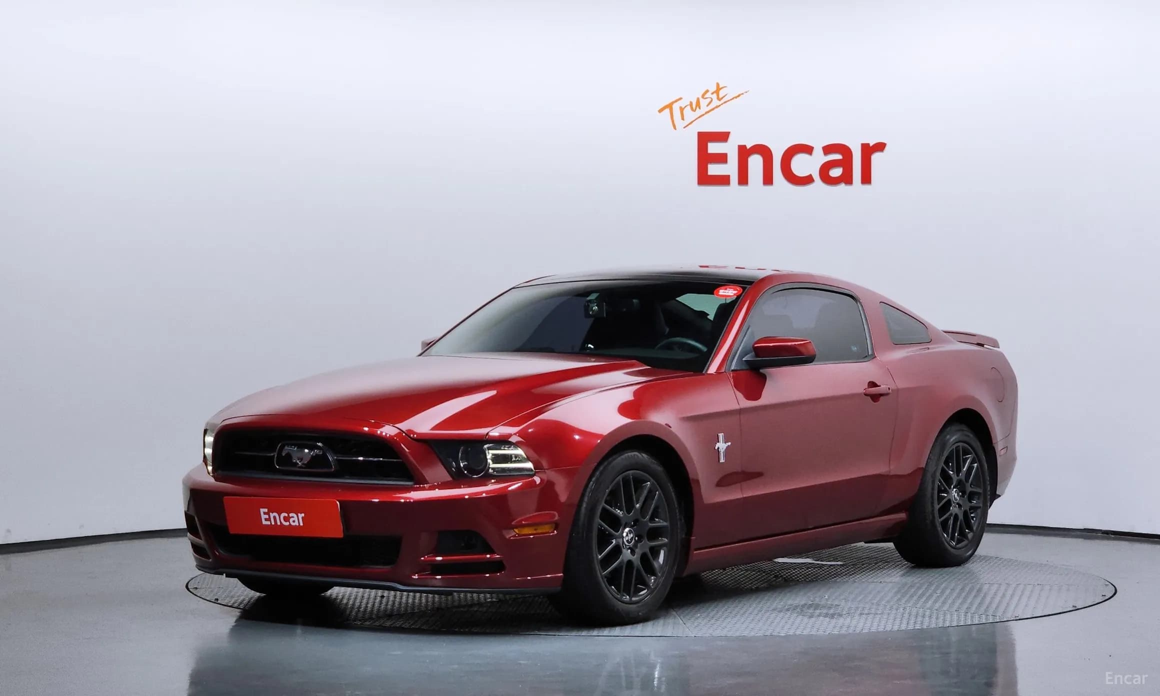 Mustang